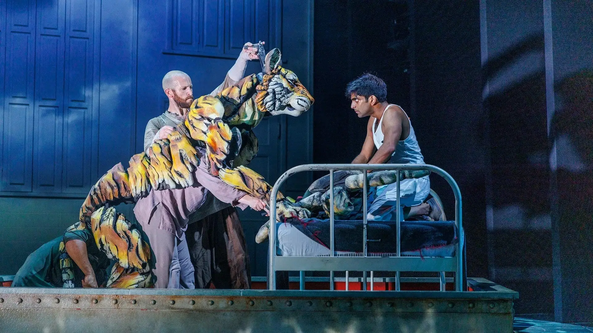 Pi and the tiger in the hospital bed scene