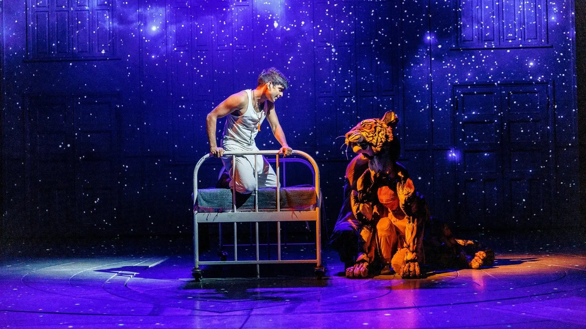 Pi on the lifeboat under a sky full of stars, the tiger beside him