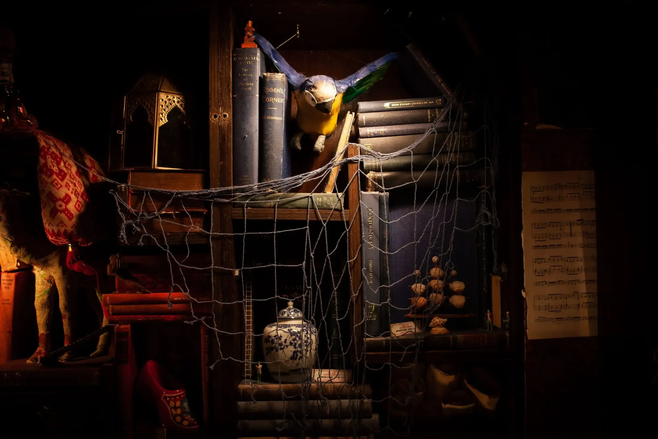 A bird caught in netting among the library shelves